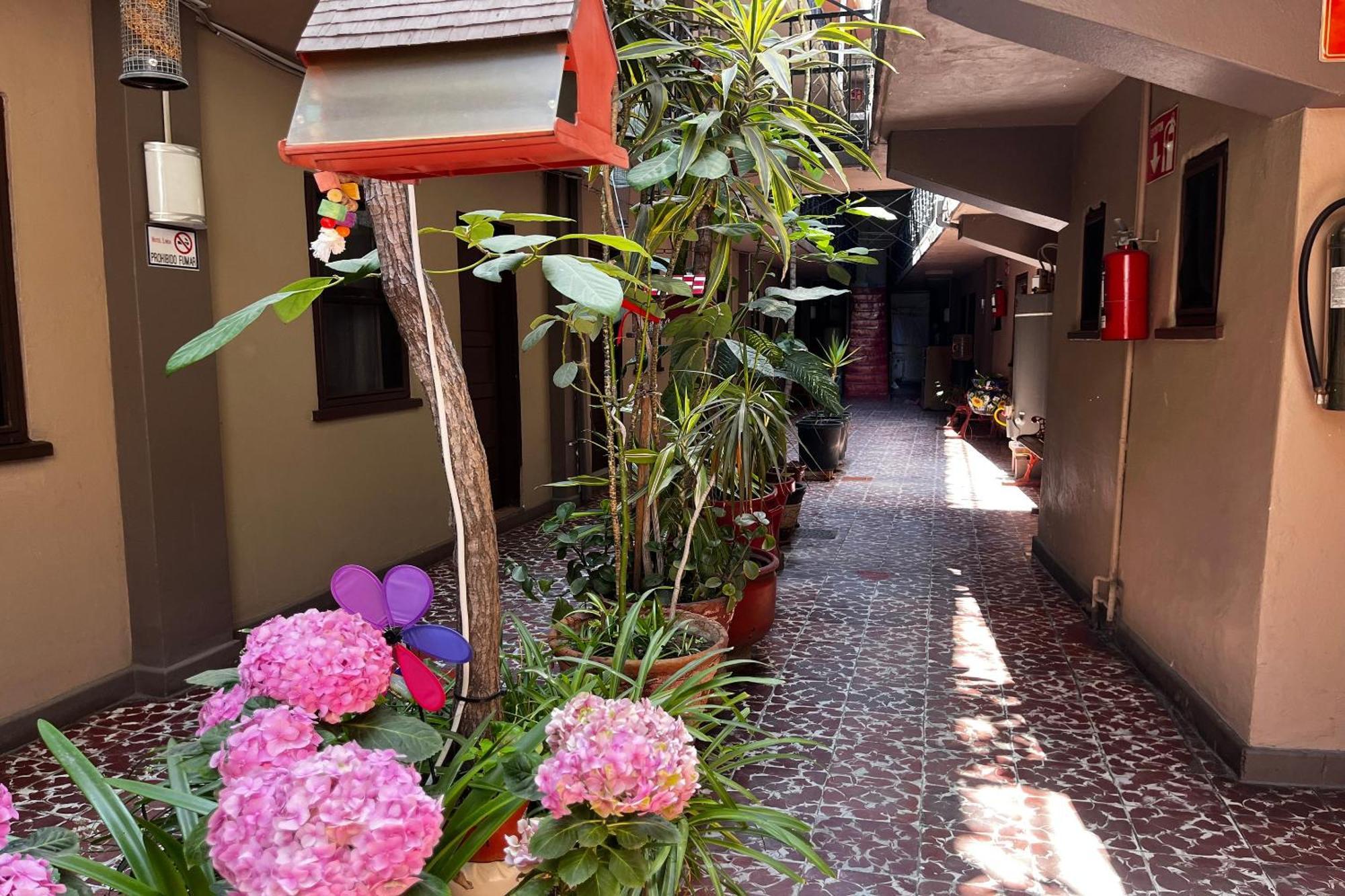 Oyo Hotel Linda Tijuana Eksteriør bilde