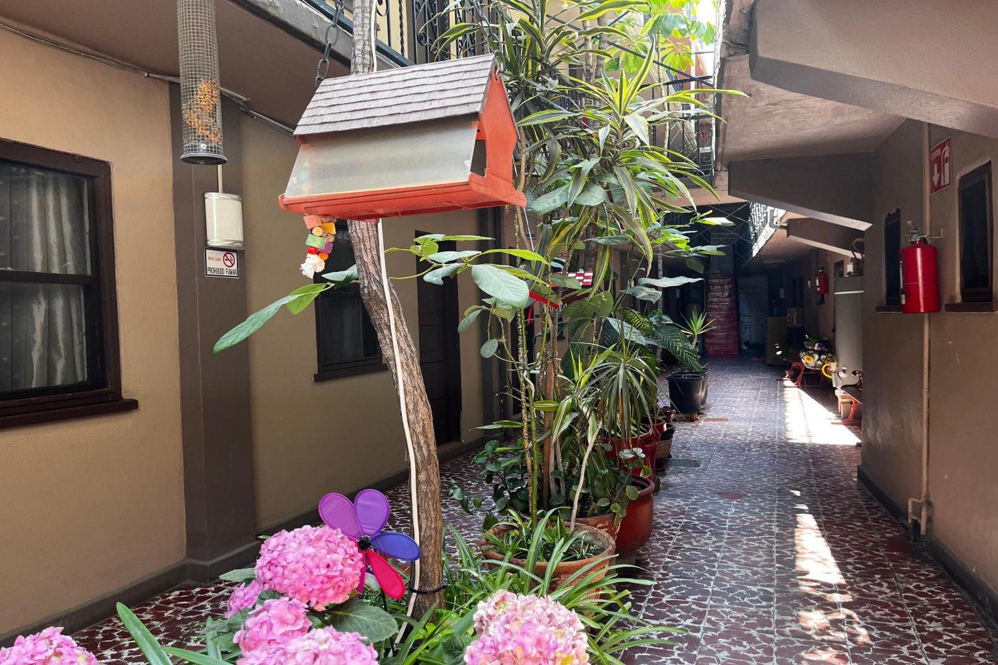 Oyo Hotel Linda Tijuana Eksteriør bilde